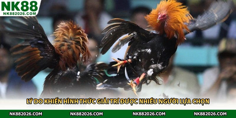 Lý do khiến hình thức giải trí được nhiều người lựa chọn