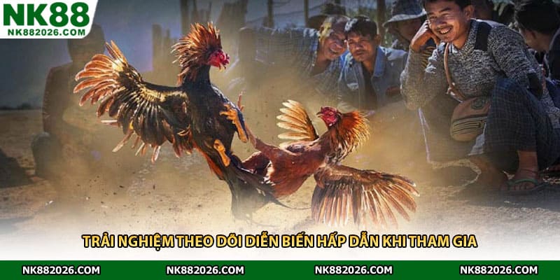 Trải nghiệm theo dõi diễn biến hấp dẫn khi tham gia